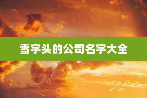 雪字头的公司名字大全