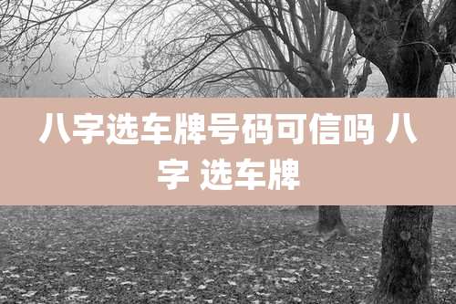 八字选车牌号码可信吗 八字 选车牌