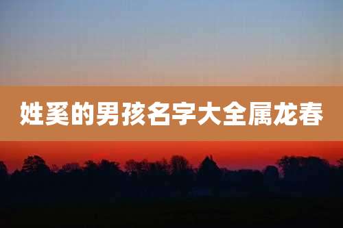 姓奚的男孩名字大全属龙春