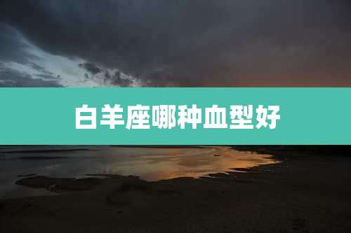 白羊座哪种血型好