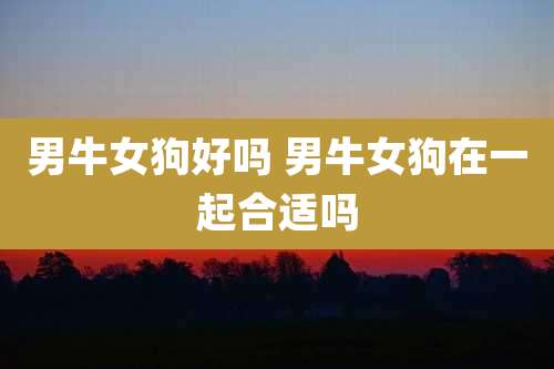 男牛女狗好吗 男牛女狗在一起合适吗