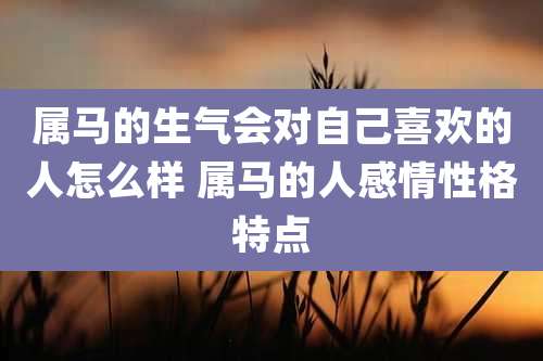 属马的生气会对自己喜欢的人怎么样 属马的人感情性格特点