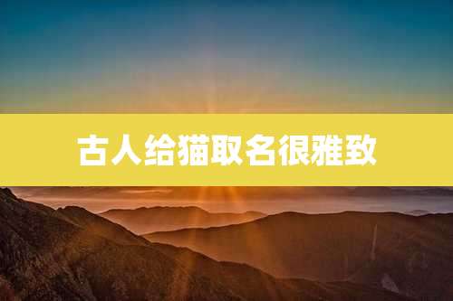 古人给猫取名很雅致