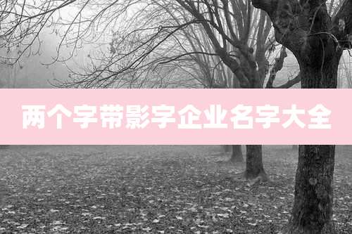 两个字带影字企业名字大全
