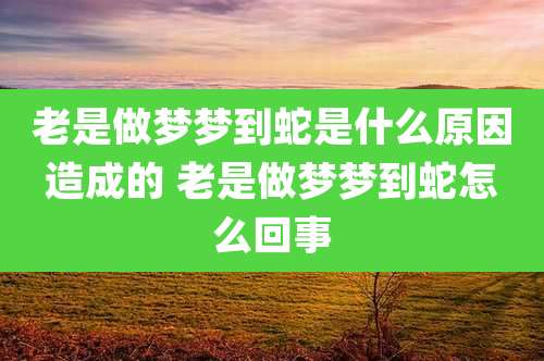 老是做梦梦到蛇是什么原因造成的 老是做梦梦到蛇怎么回事