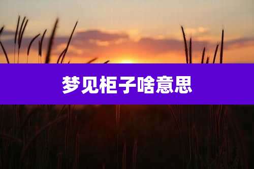 梦见柜子啥意思