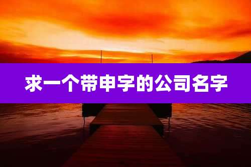 求一个带申字的公司名字