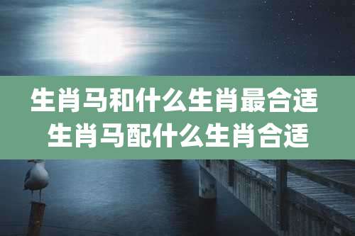 生肖马和什么生肖最合适 生肖马配什么生肖合适