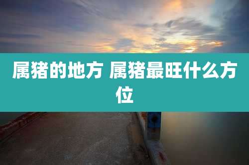 属猪的地方 属猪最旺什么方位