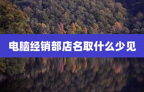 电脑经销部店名取什么少见
