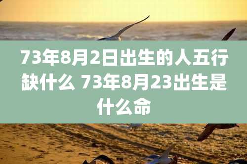 73年8月2日出生的人五行缺什么 73年8月23出生是什么命