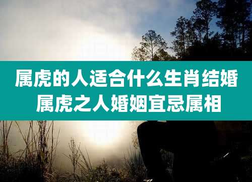 属虎的人适合什么生肖结婚 属虎之人婚姻宜忌属相