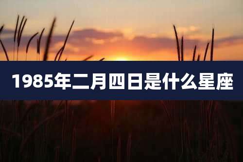 1985年二月四日是什么星座