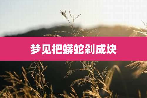 梦见把蟒蛇剁成块