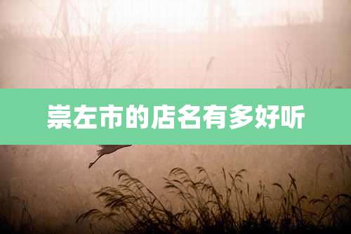 崇左市的店名有多好听