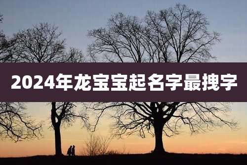2024年龙宝宝起名字最拽字