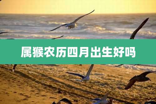 属猴农历四月出生好吗