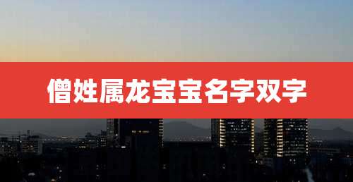 僧姓属龙宝宝名字双字