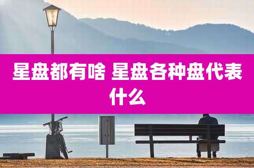 星盘都有啥 星盘各种盘代表什么