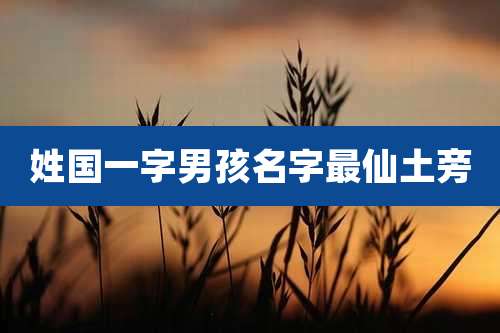 姓国一字男孩名字最仙土旁