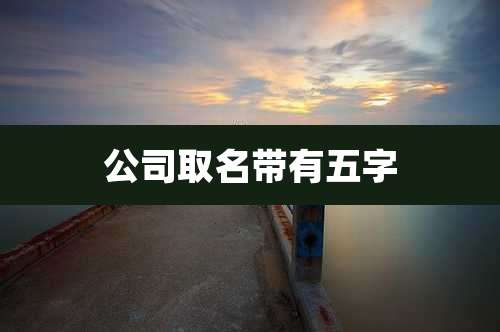 公司取名带有五字
