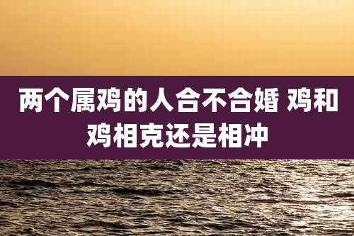两个属鸡的人合不合婚 鸡和鸡相克还是相冲