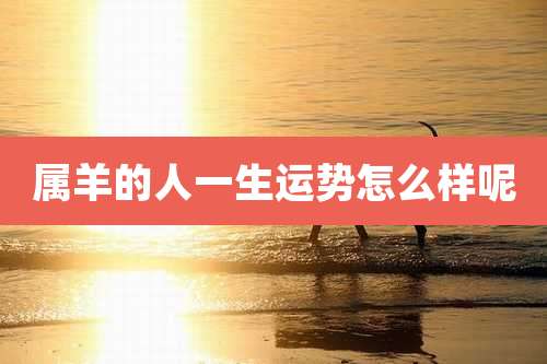 属羊的人一生运势怎么样呢