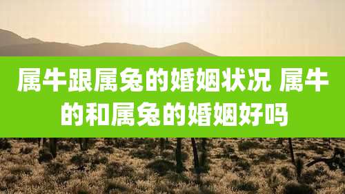 属牛跟属兔的婚姻状况 属牛的和属兔的婚姻好吗