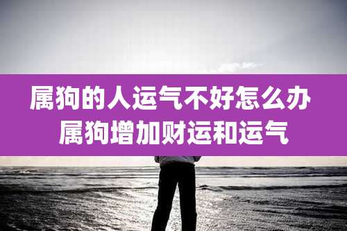 属狗的人运气不好怎么办 属狗增加财运和运气