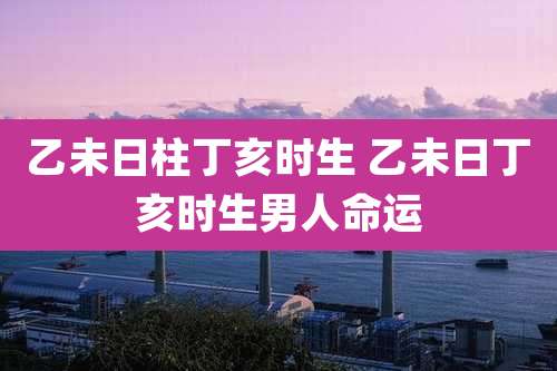 乙未日柱丁亥时生 乙未日丁亥时生男人命运