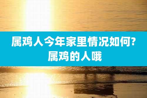 属鸡人今年家里情况如何? 属鸡的人哦