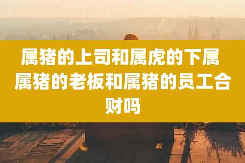 属猪的上司和属虎的下属 属猪的老板和属猪的员工合财吗