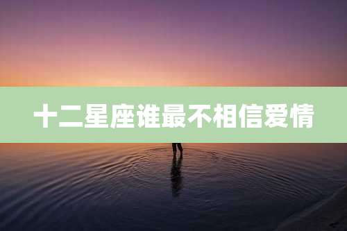 十二星座谁最不相信爱情