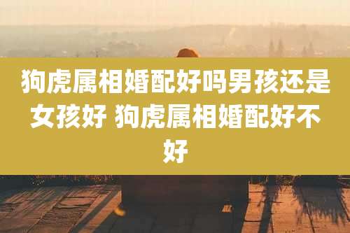 狗虎属相婚配好吗男孩还是女孩好 狗虎属相婚配好不好