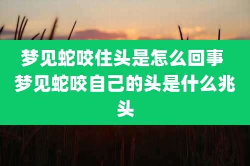梦见蛇咬住头是怎么回事 梦见蛇咬自己的头是什么兆头