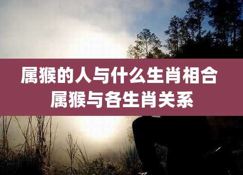 属猴的人与什么生肖相合 属猴与各生肖关系