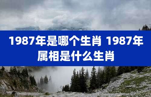 1987年是哪个生肖 1987年属相是什么生肖