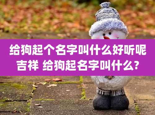 给狗起个名字叫什么好听呢吉祥 给狗起名字叫什么?
