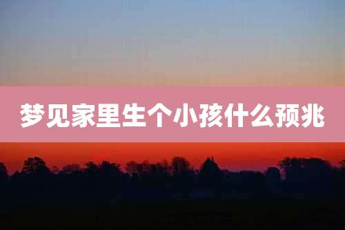梦见家里生个小孩什么预兆
