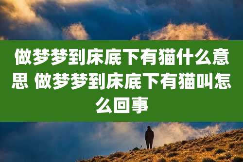 做梦梦到床底下有猫什么意思 做梦梦到床底下有猫叫怎么回事