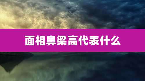 面相鼻梁高代表什么