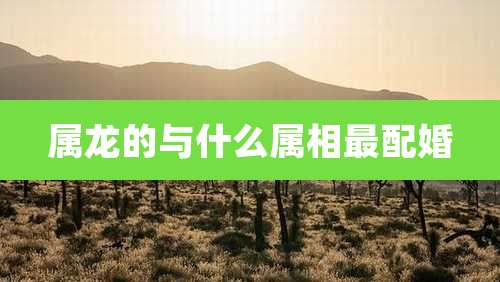 属龙的与什么属相最配婚