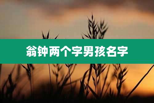翁钟两个字男孩名字