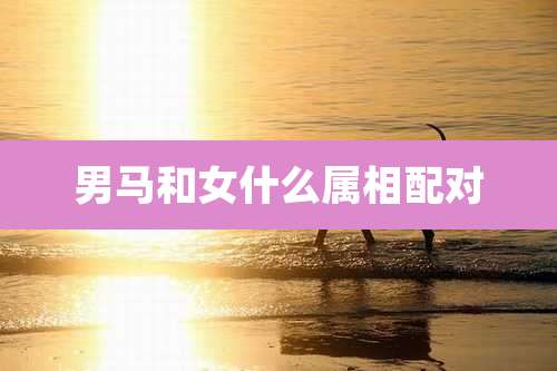 男马和女什么属相配对