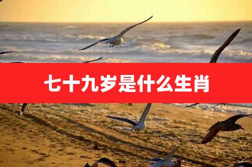 七十九岁是什么生肖