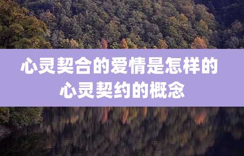 心灵契合的爱情是怎样的 心灵契约的概念