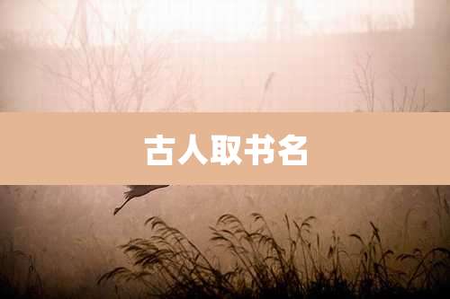 古人取书名
