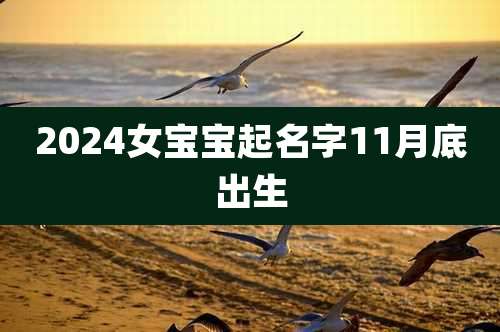 2024女宝宝起名字11月底出生