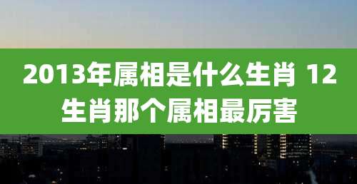 2013年属相是什么生肖 12生肖那个属相最厉害