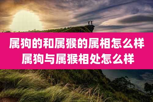属狗的和属猴的属相怎么样 属狗与属猴相处怎么样
